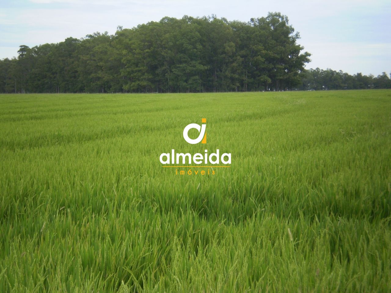 Loteamento e Condomínio, 2939 hectares - Foto 5