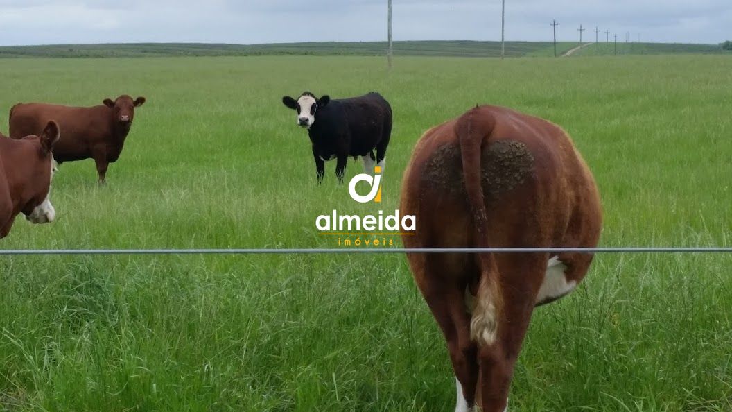 Loteamento e Condomínio, 1500 hectares - Foto 7