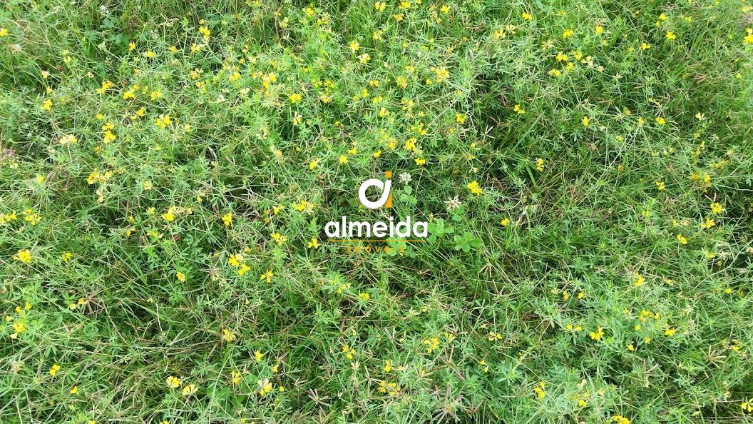 Loteamento e Condomínio, 1500 hectares - Foto 12