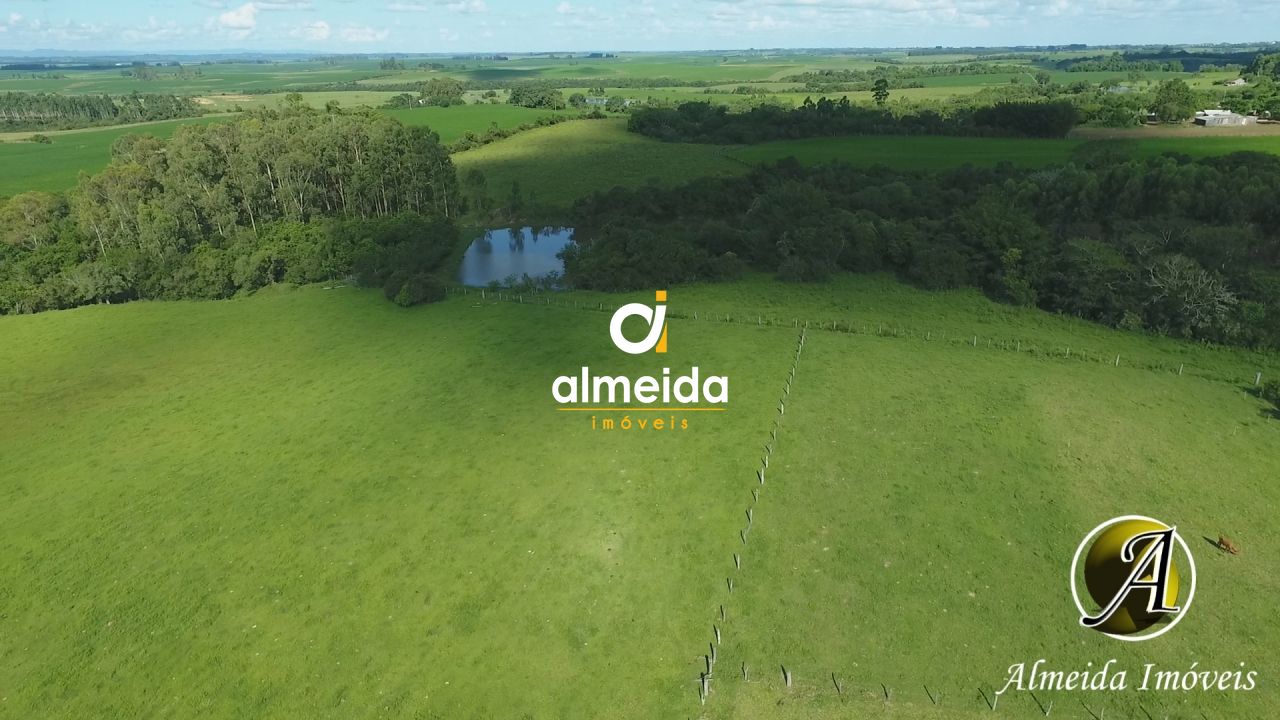 Fazenda-Sítio-Chácara, 6 hectares - Foto 3