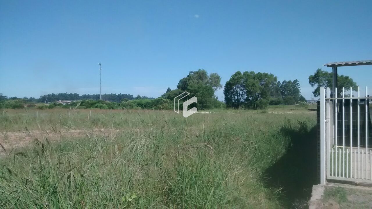 Terreno, 5933 m² - Foto 2