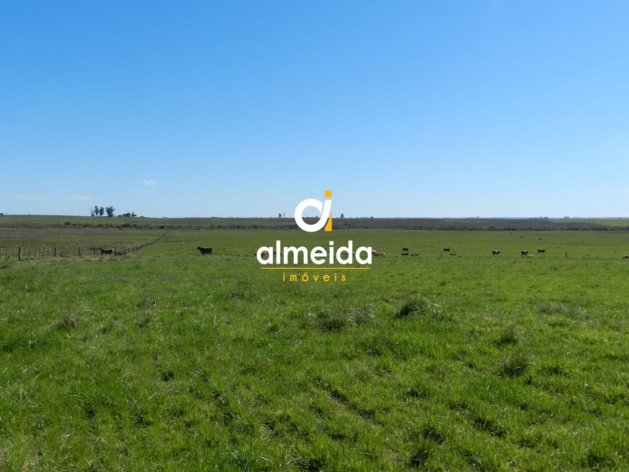 Loteamento e Condomínio, 1500 hectares - Foto 37