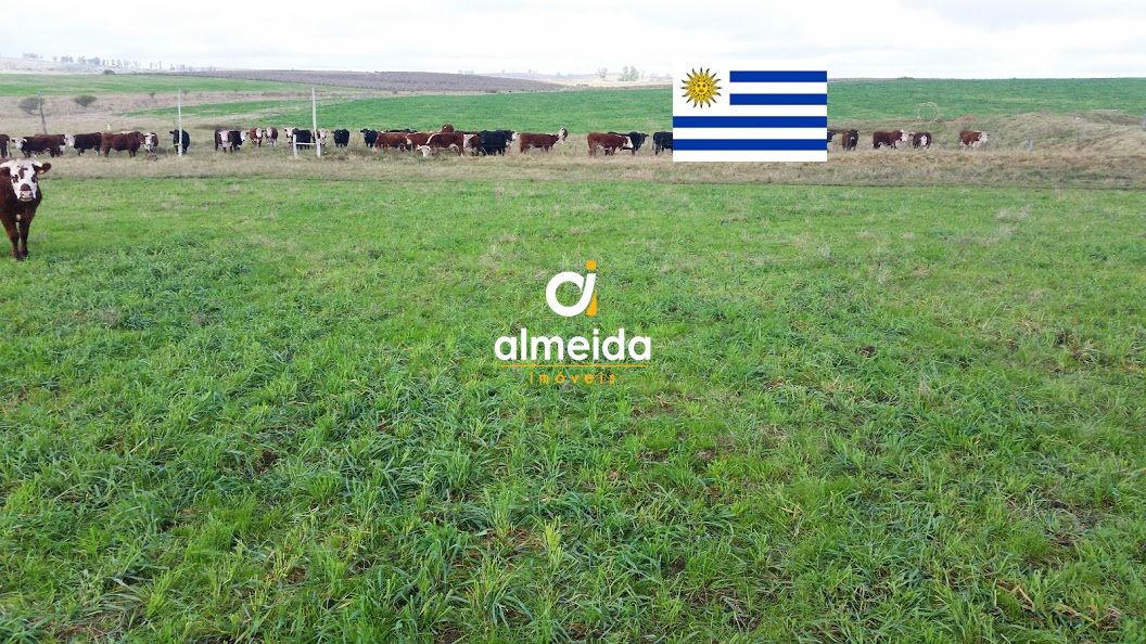 Loteamento e Condomínio, 1500 hectares - Foto 1