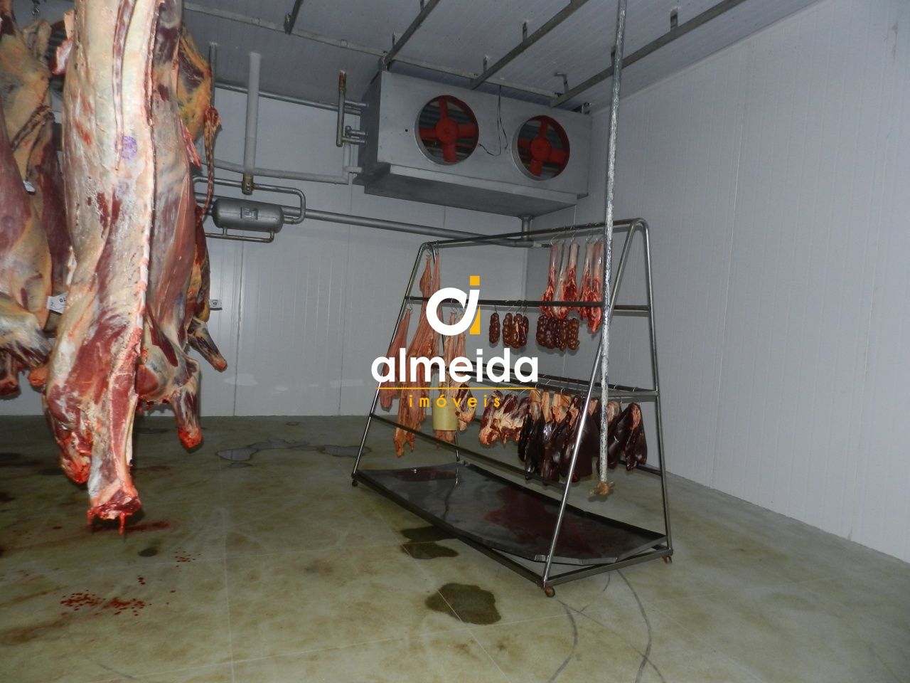 Prédio Inteiro, 140000 m² - Foto 22