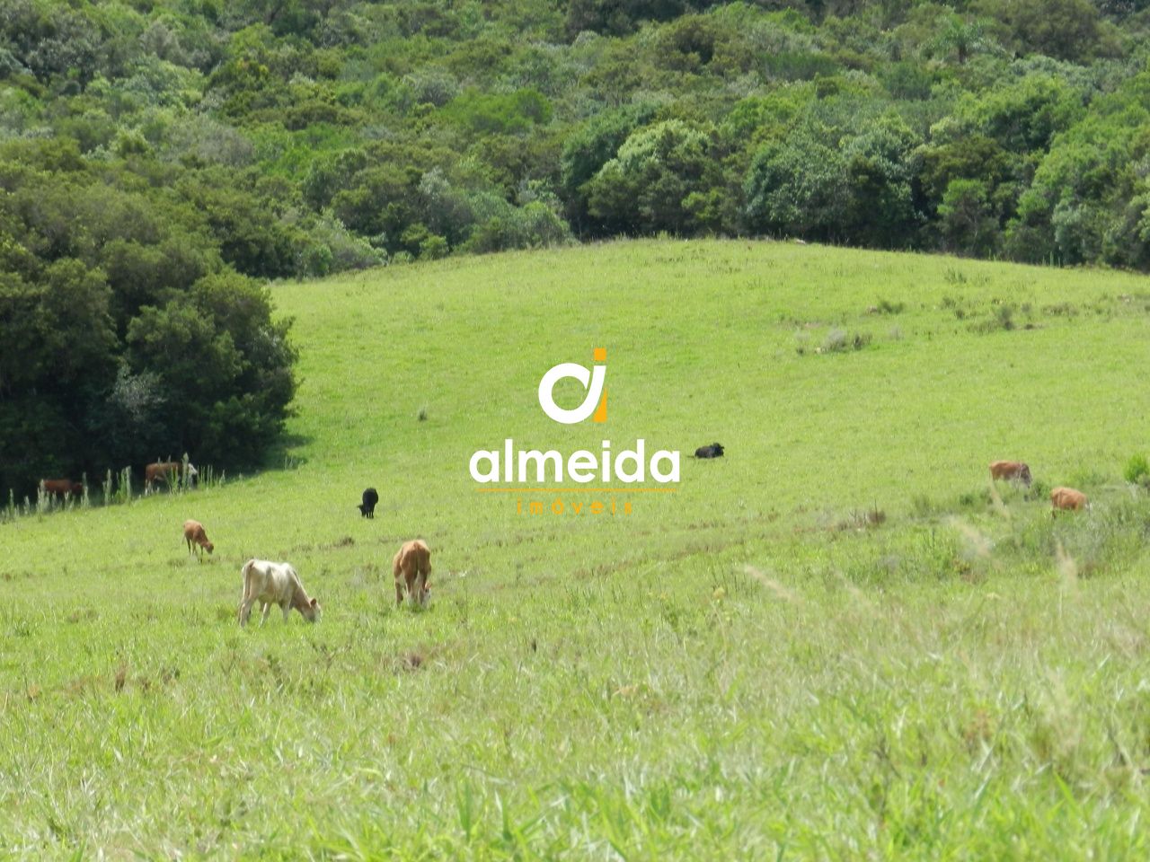 Loteamento e Condomínio, 5800000 hectares - Foto 58