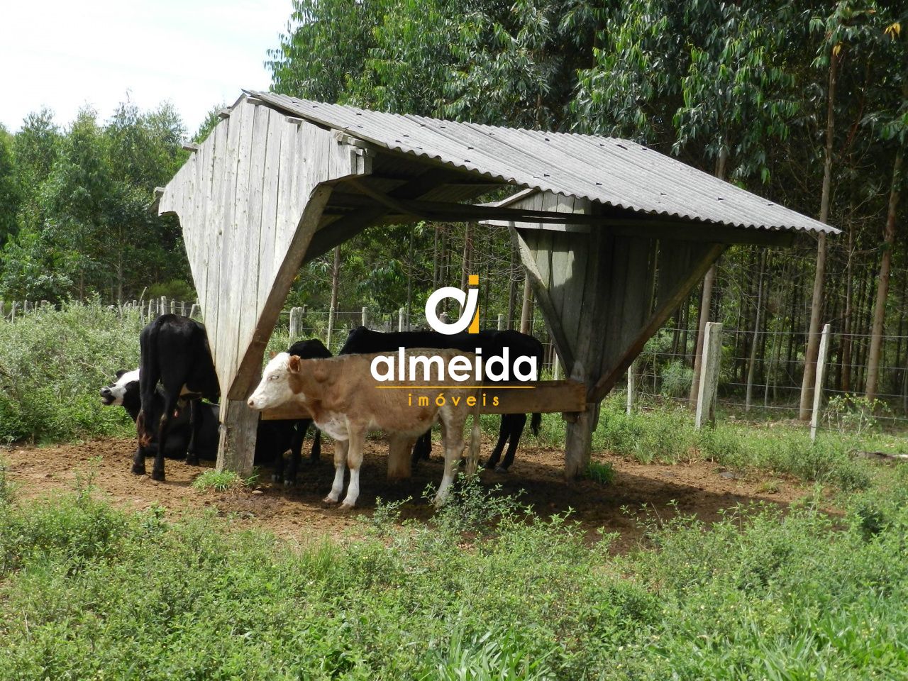 Loteamento e Condomínio, 5800000 hectares - Foto 64