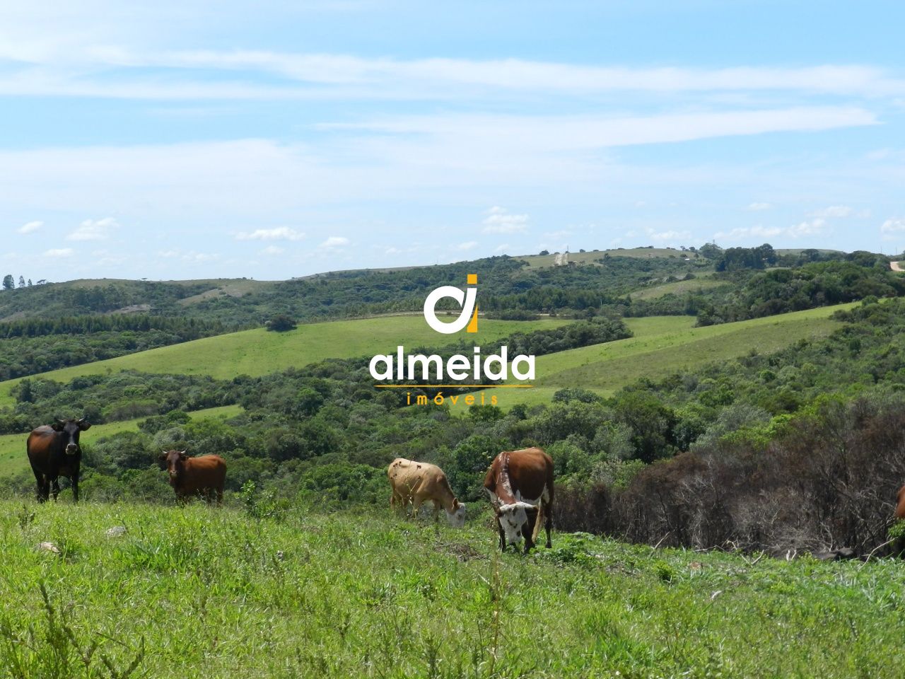 Loteamento e Condomínio, 5800000 hectares - Foto 47