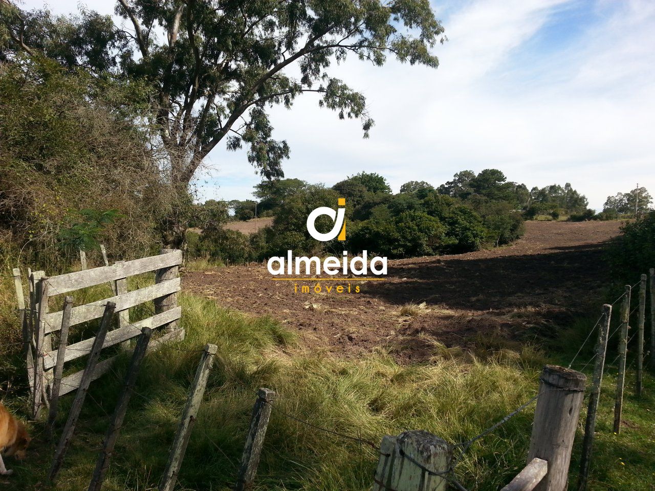 Fazenda à venda com 2 quartos, 300000000m² - Foto 18