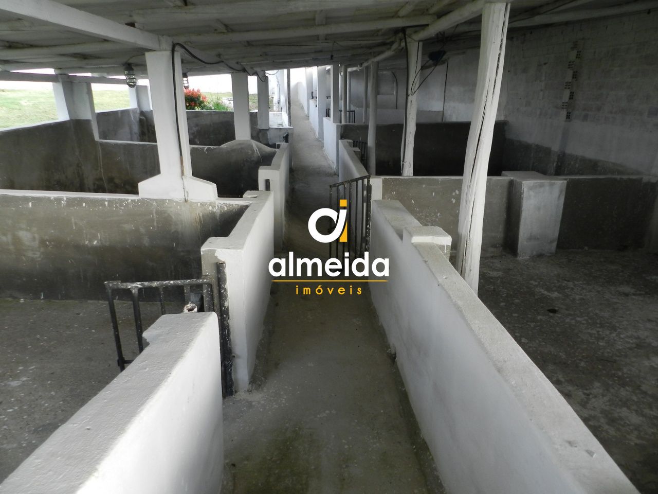 Prédio Inteiro, 140000 m² - Foto 5