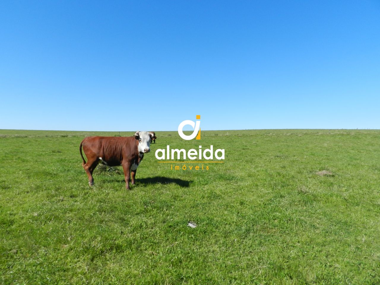 Loteamento e Condomínio, 1500 hectares - Foto 44