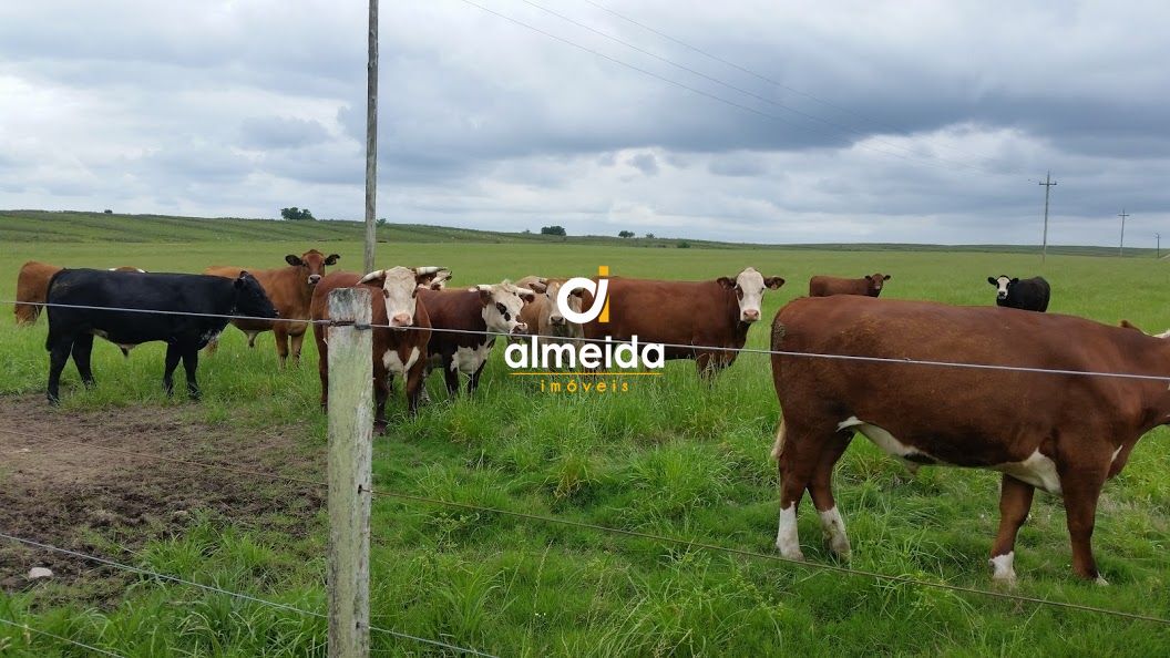 Loteamento e Condomínio, 1500 hectares - Foto 8