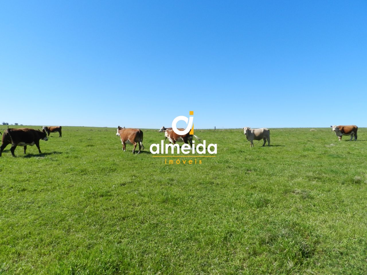 Loteamento e Condomínio, 1500 hectares - Foto 42