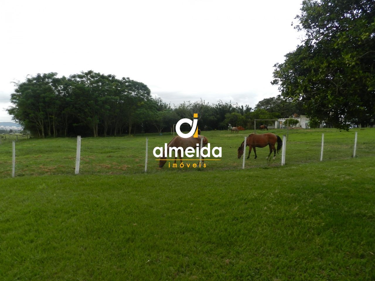 Prédio Inteiro, 140000 m² - Foto 47