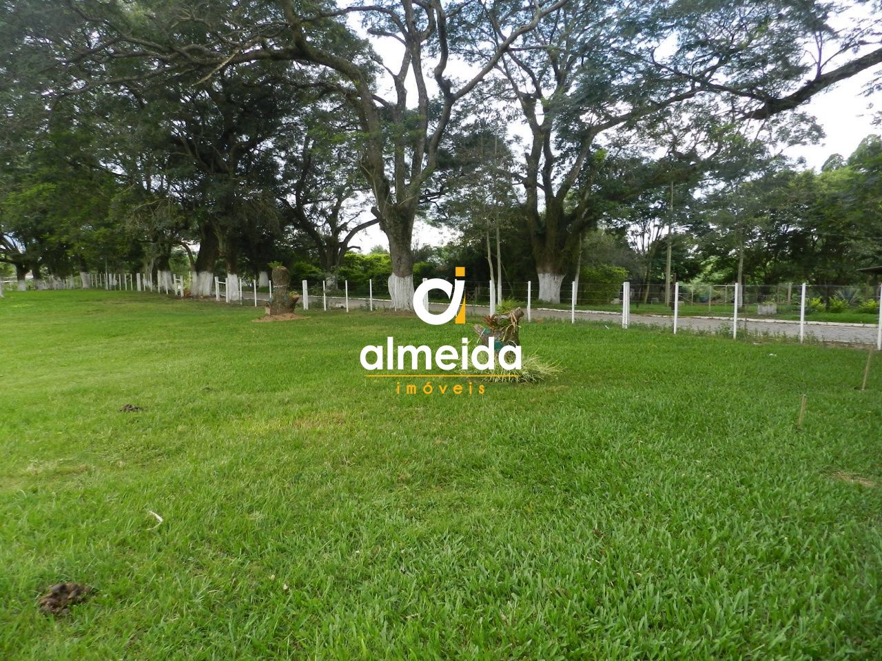 Prédio Inteiro, 140000 m² - Foto 33