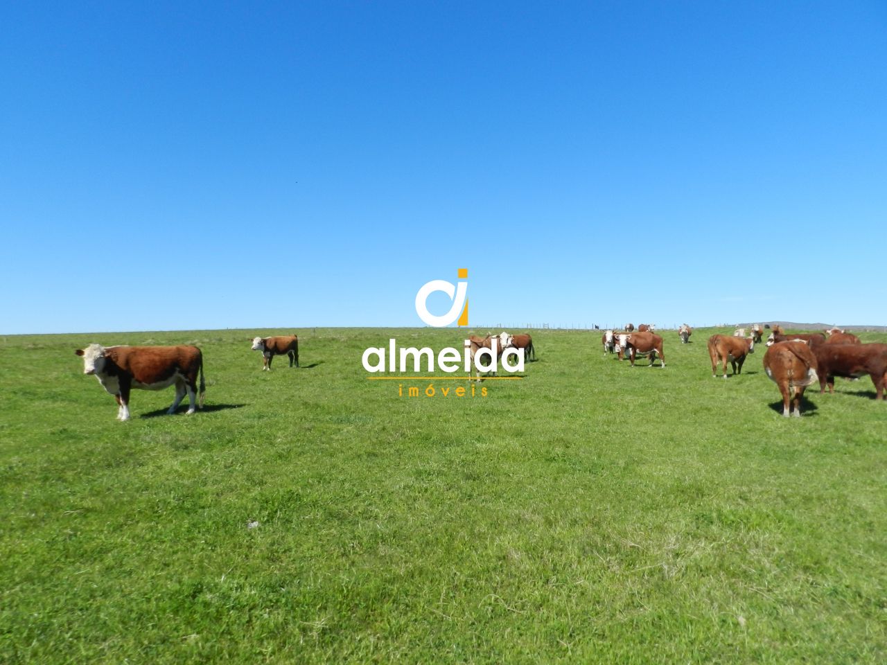 Loteamento e Condomínio, 1500 hectares - Foto 62