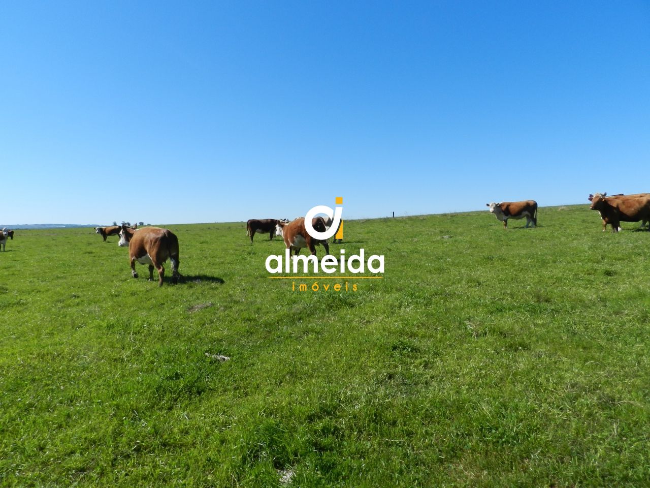 Loteamento e Condomínio, 1500 hectares - Foto 43