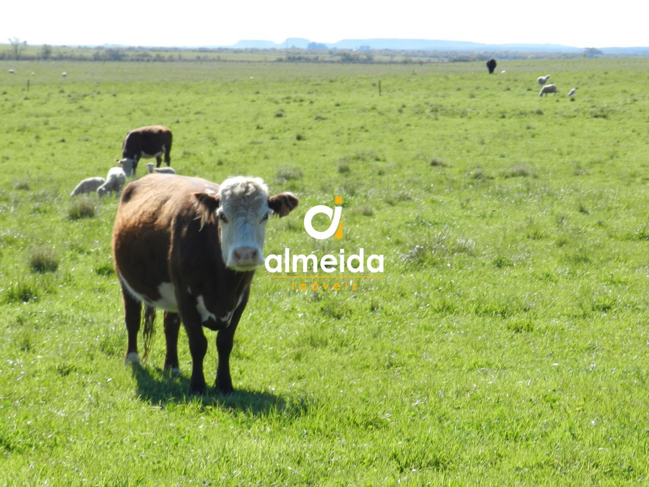 Loteamento e Condomínio, 1500 hectares - Foto 46