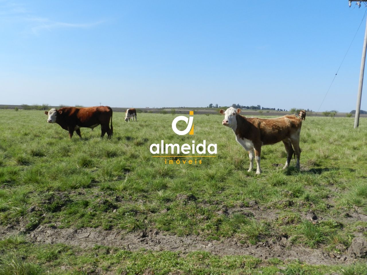 Loteamento e Condomínio à venda com 3 quartos, 45300000000m² - Foto 59