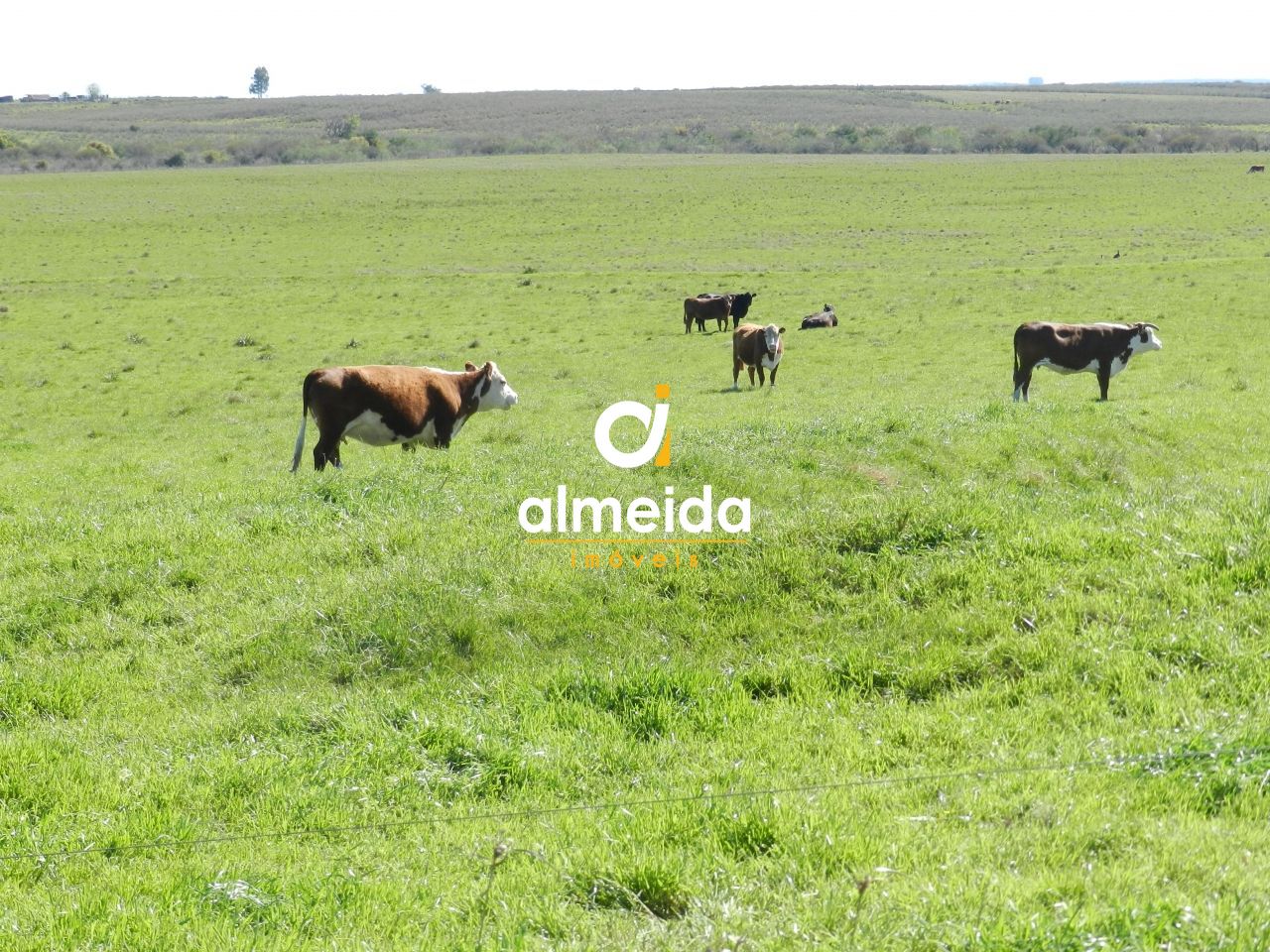 Loteamento e Condomínio, 1500 hectares - Foto 38