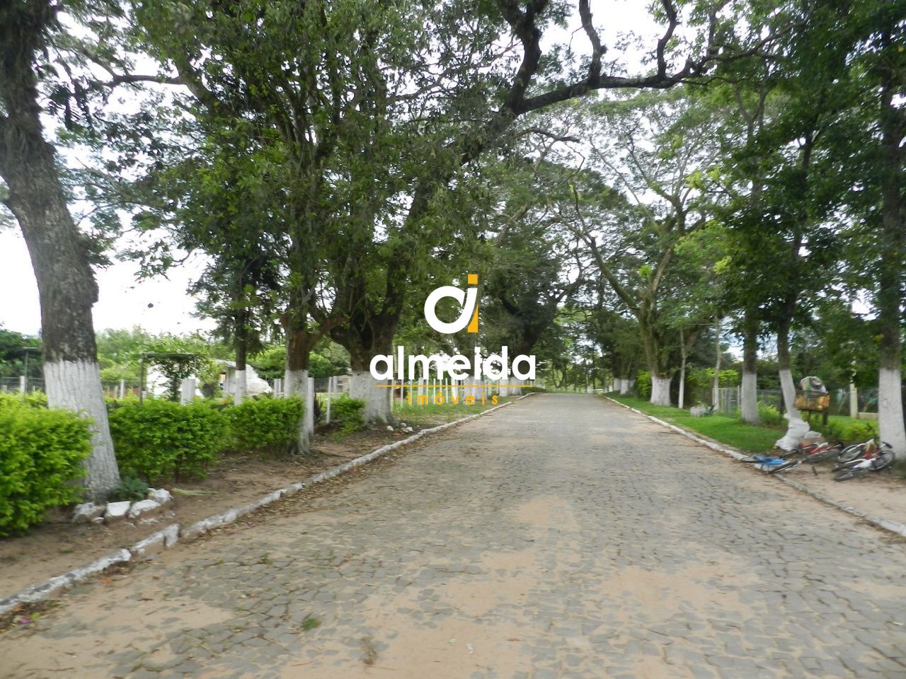 Prédio Inteiro, 140000 m² - Foto 48