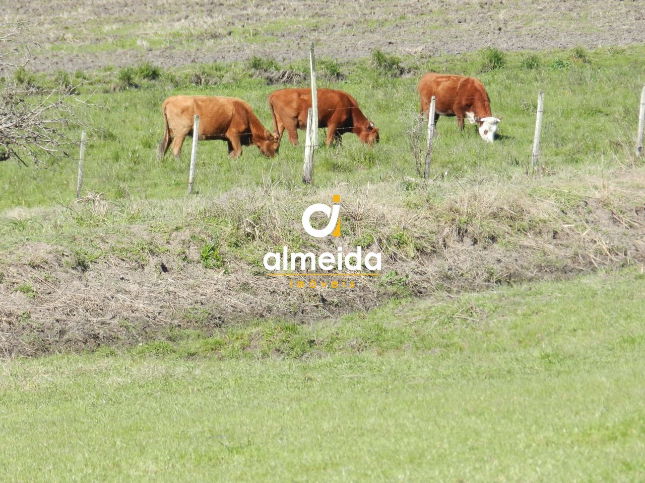 Loteamento e Condomínio à venda com 5 quartos, 15000000m² - Foto 64