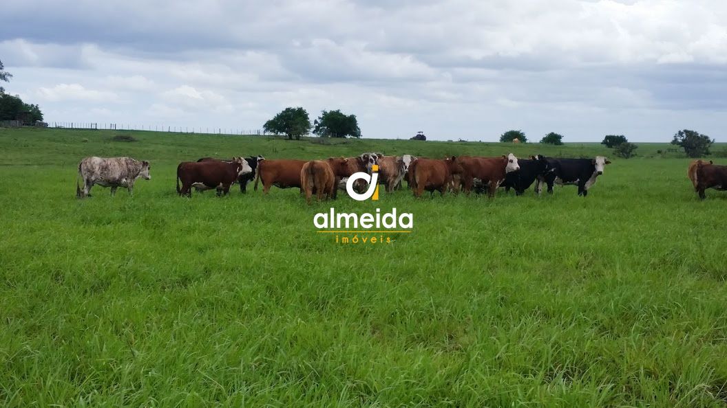 Loteamento e Condomínio, 1500 hectares - Foto 10