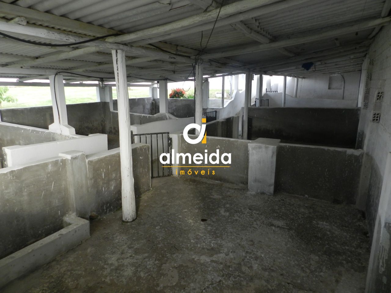 Prédio Inteiro à venda, 140000m² - Foto 6