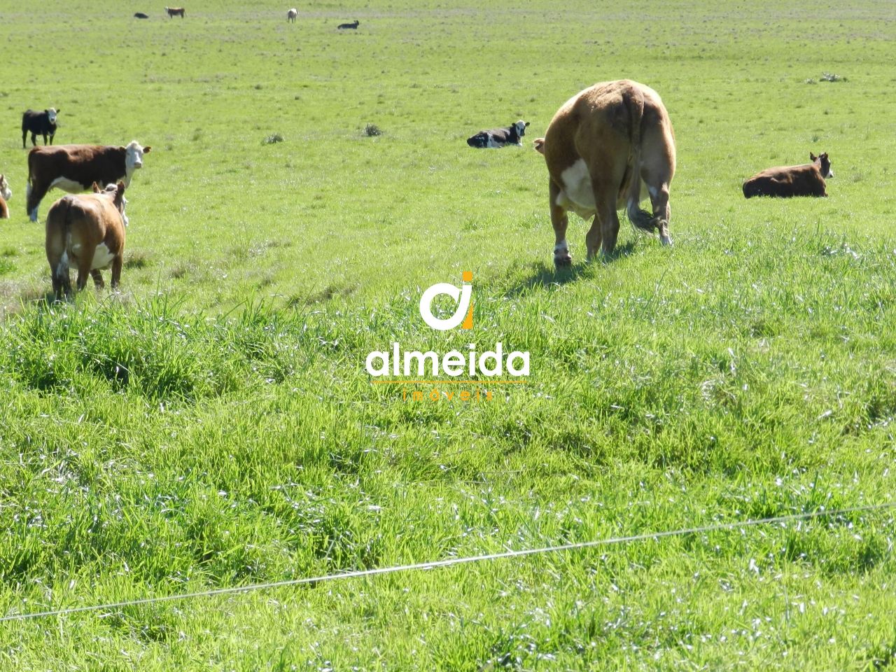 Loteamento e Condomínio, 1500 hectares - Foto 61