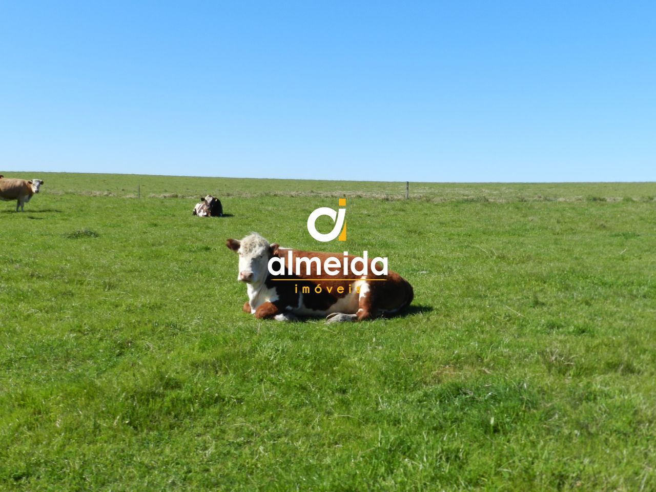 Loteamento e Condomínio, 1500 hectares - Foto 45