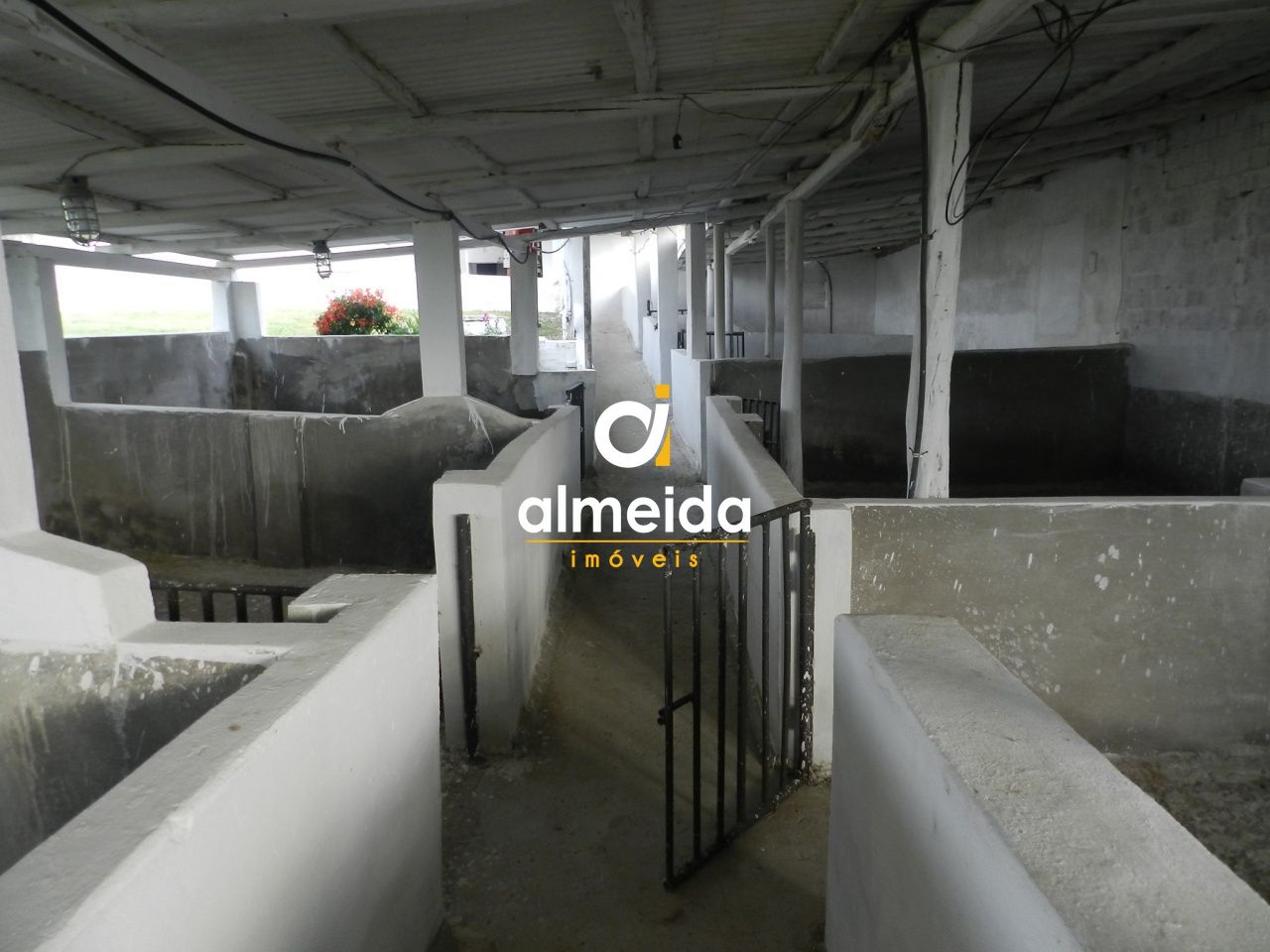 Prédio Inteiro, 140000 m² - Foto 7