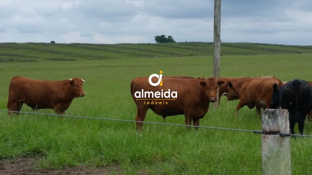 Loteamento e Condomínio, 1500 hectares - Foto 9