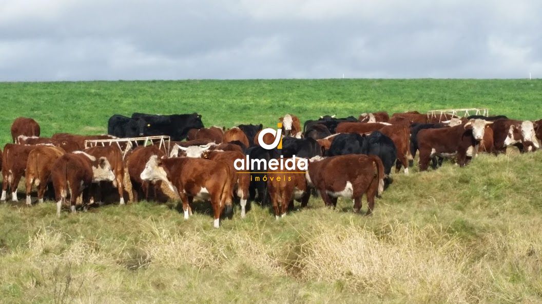 Loteamento e Condomínio, 1500 hectares - Foto 2