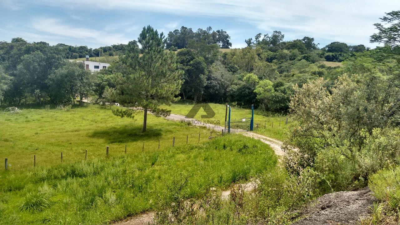 Fazenda à venda com 4 quartos, 30000m² - Foto 23