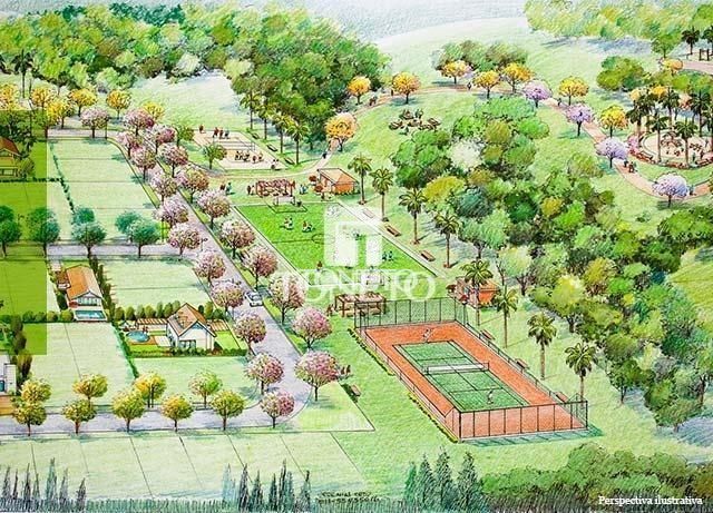 Terreno, 300 m² - Foto 4