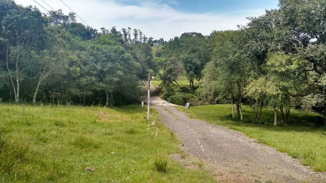 Fazenda à venda com 4 quartos, 30000m² - Foto 1