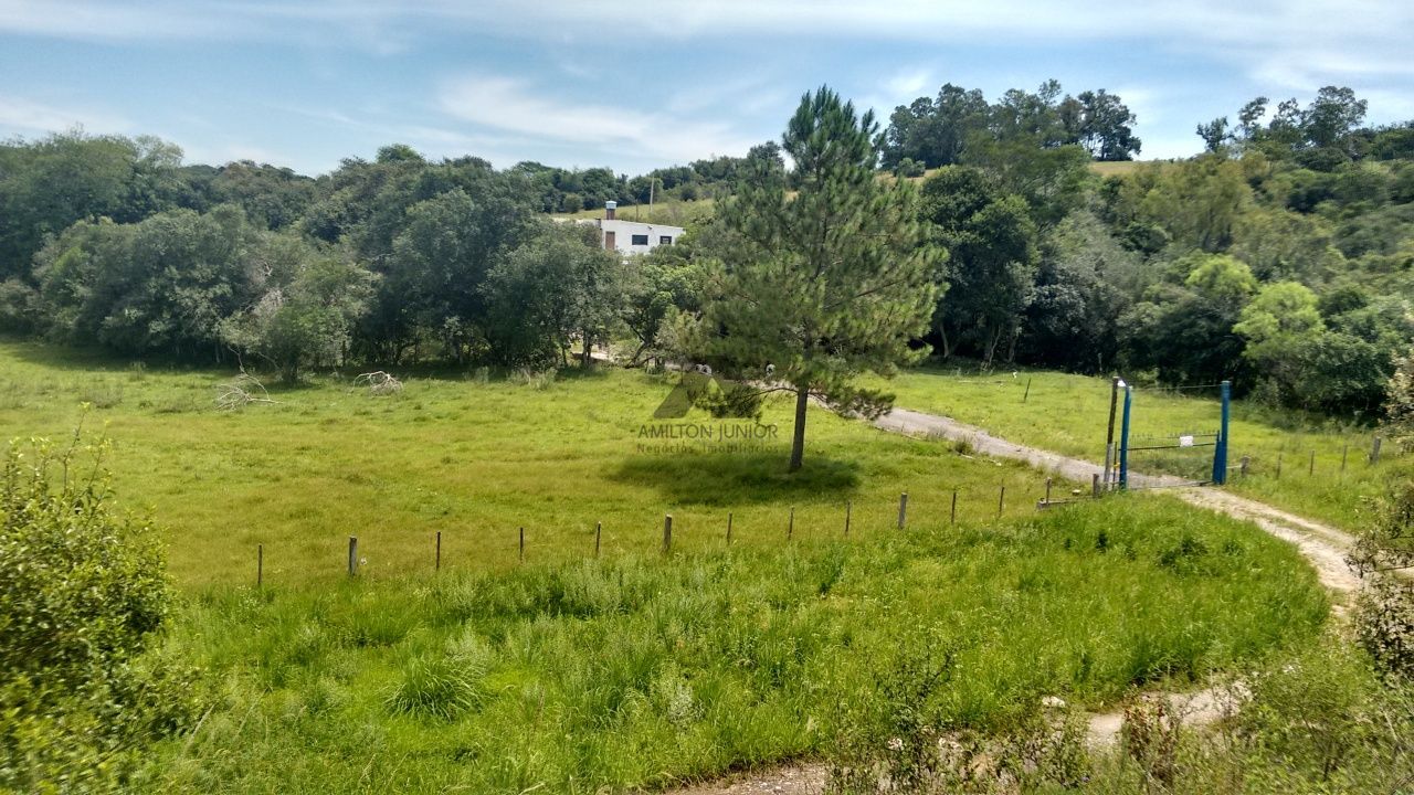 Fazenda à venda com 4 quartos, 30000m² - Foto 26