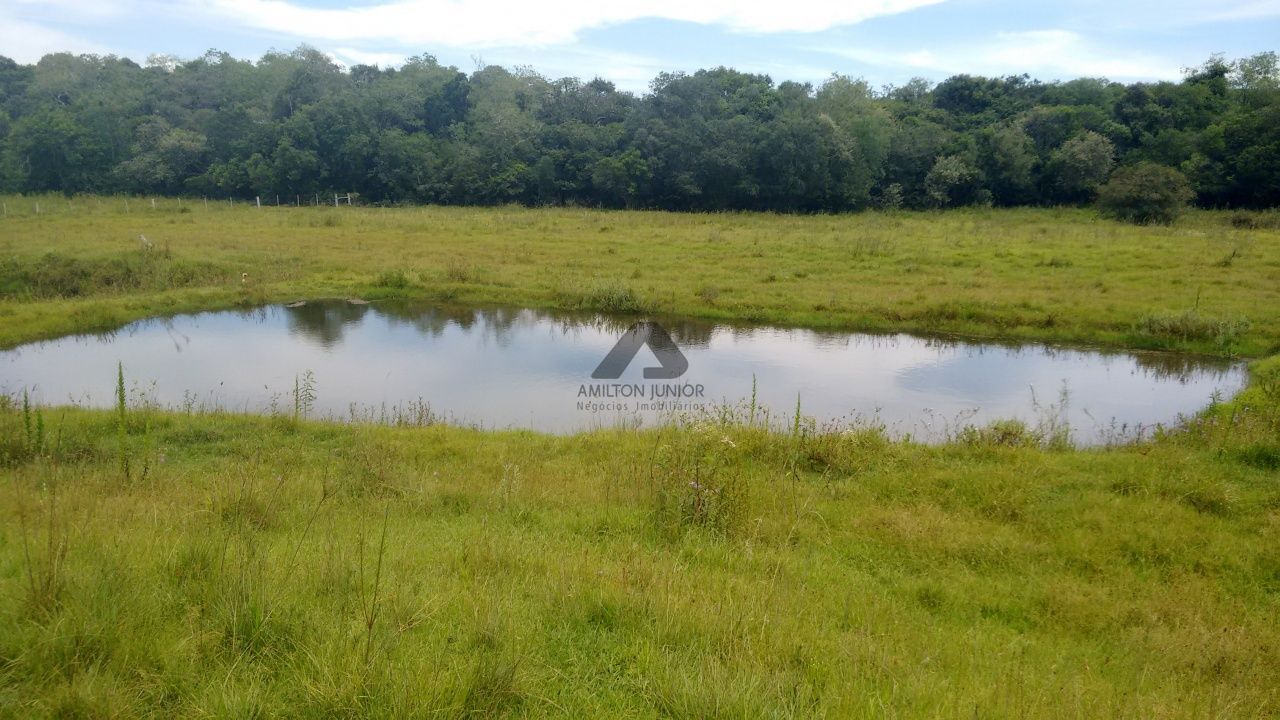 Fazenda à venda com 4 quartos, 30000m² - Foto 20