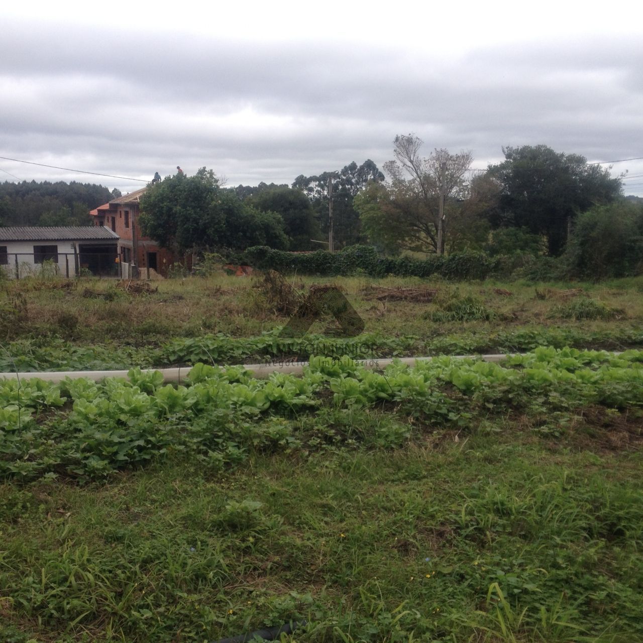 Fazenda à venda com 3 quartos, 280m² - Foto 20