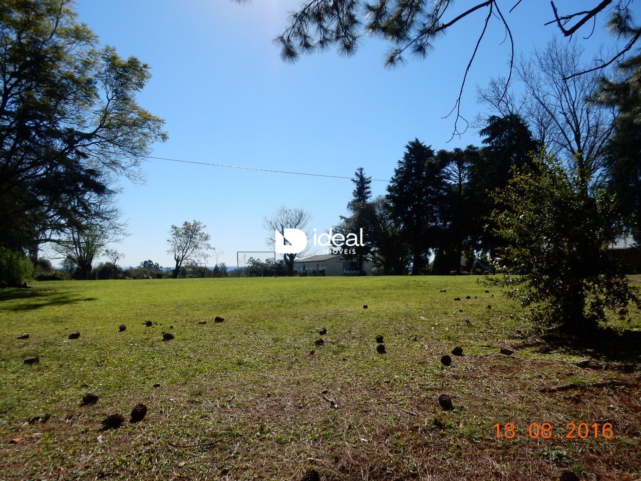 img6394855