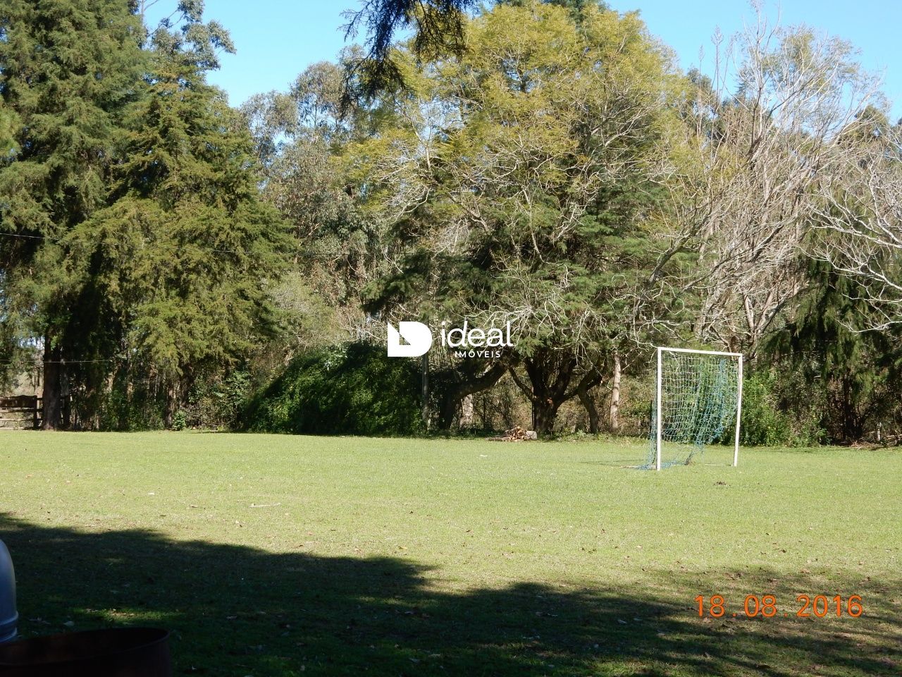 img6394847