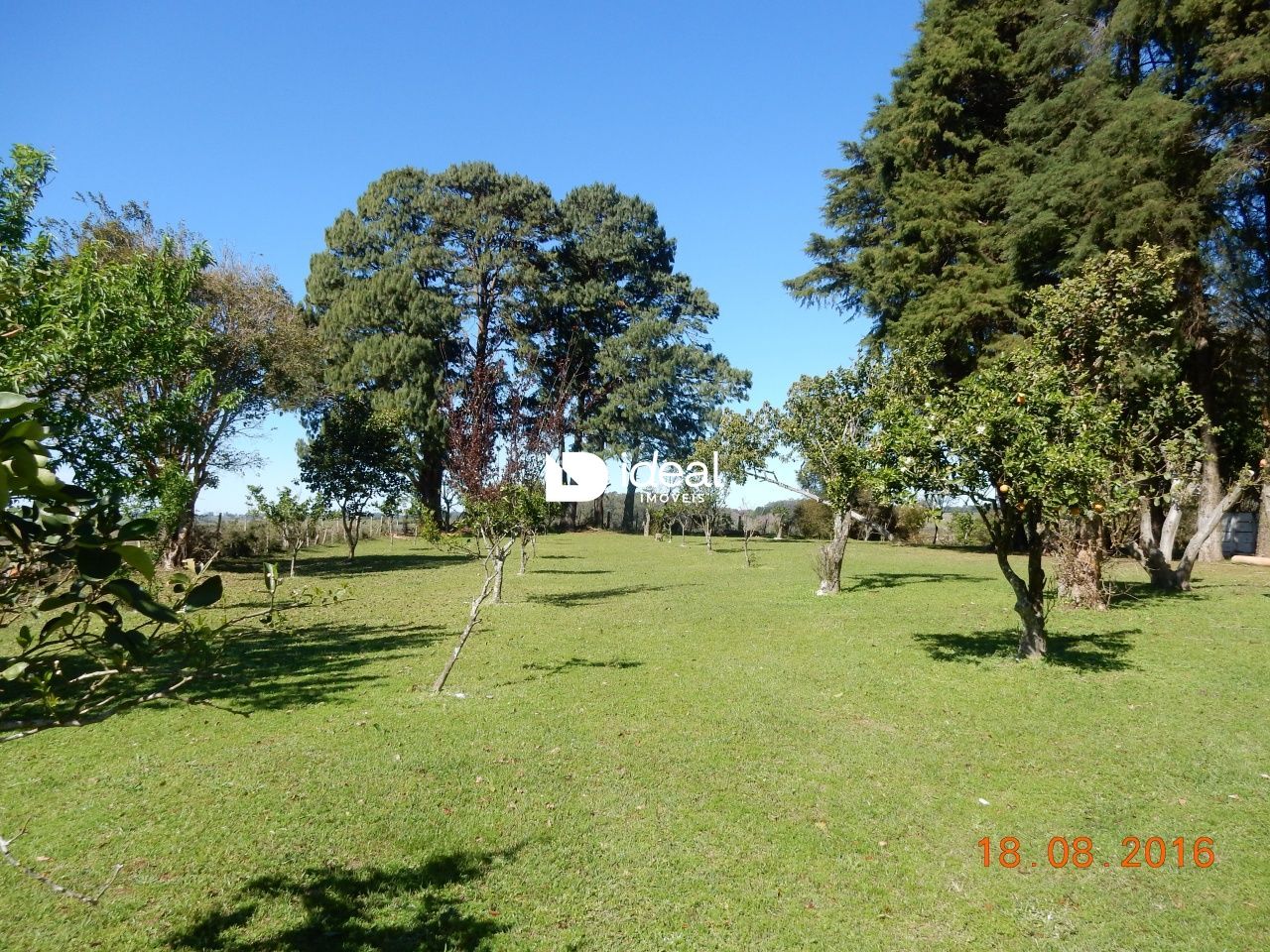 img6394832