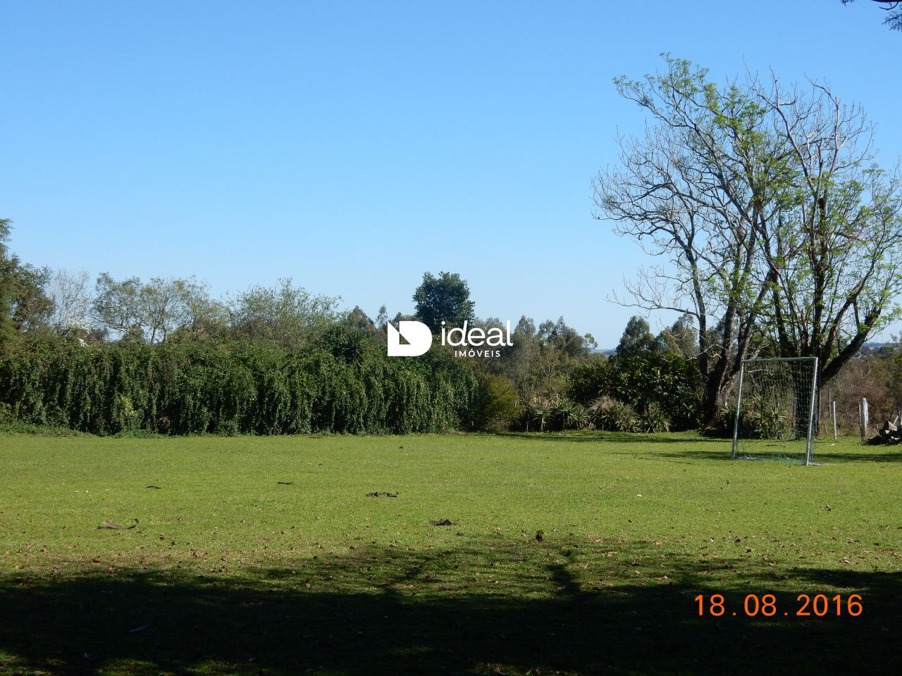 img6394846