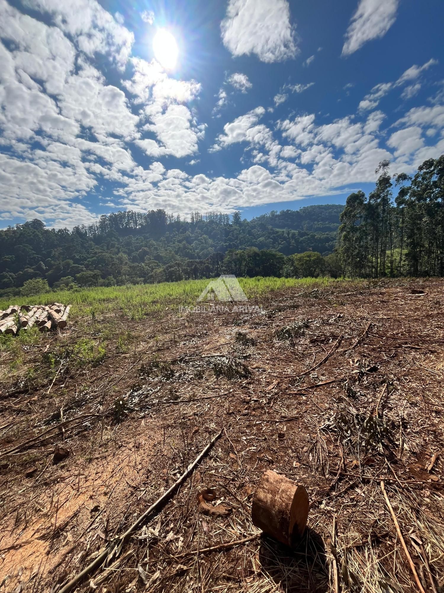 Sítio, 535 m² - Foto 3