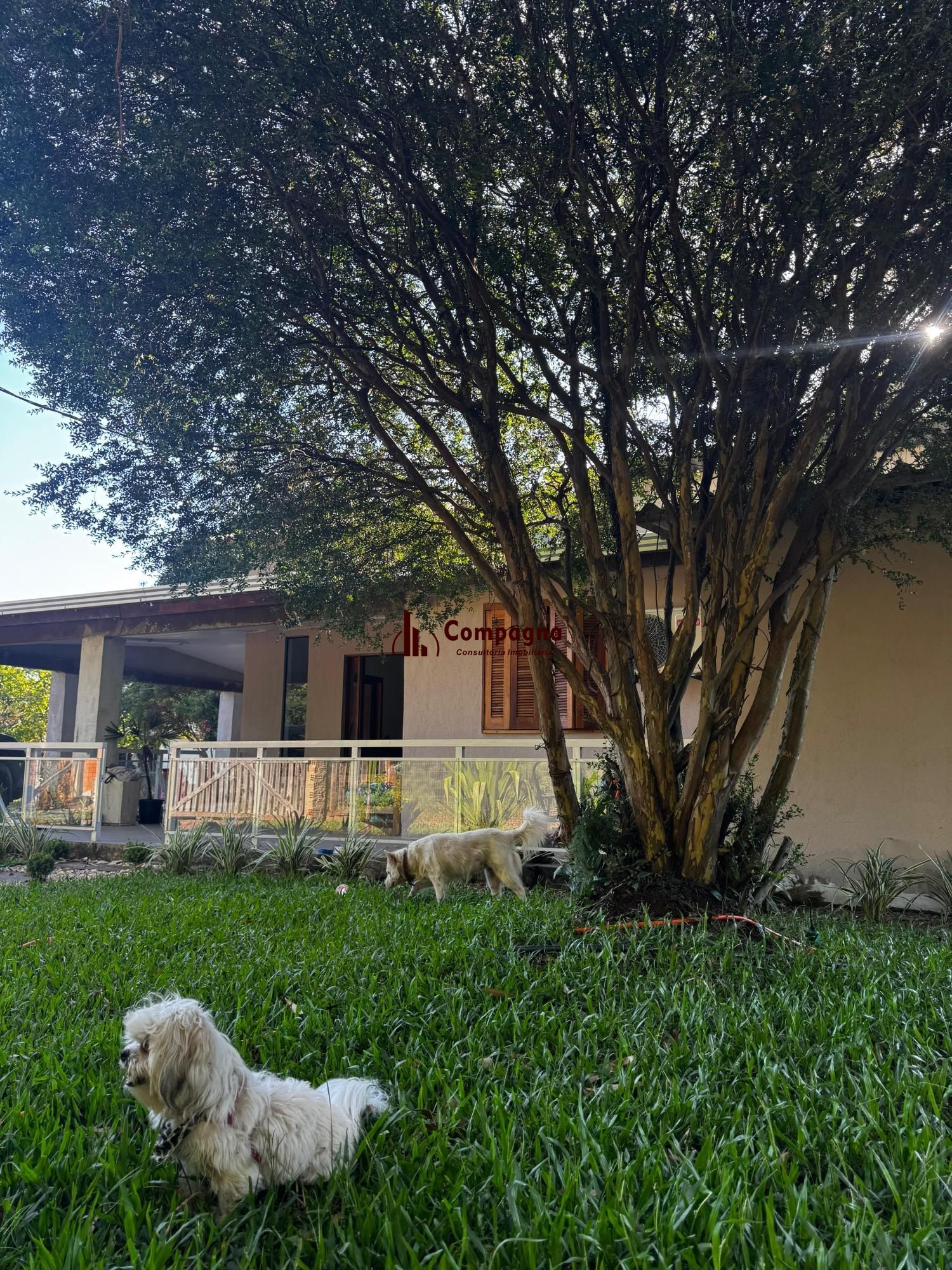 Sítio 5 Quartos com Piscina em Águas Claras – 1.400m² — foto 3