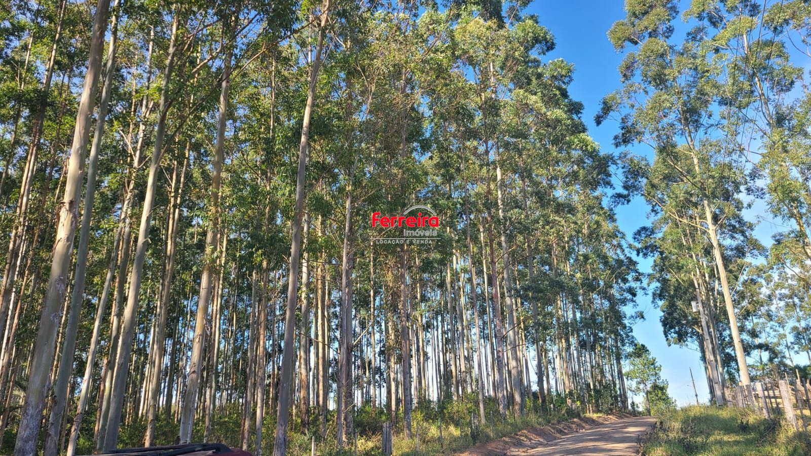 Ampla Área em Viamão – 18,5 Hectares de Potencial