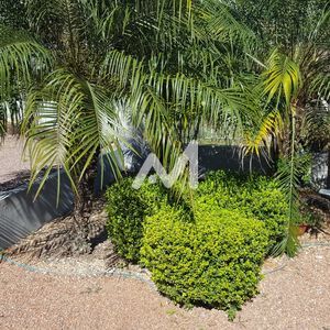  no bairro  em  para Comprar ou Alugar