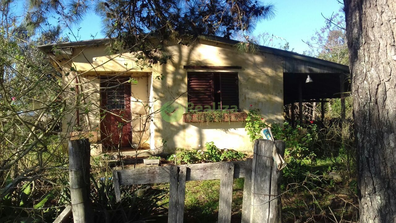 Fazenda à venda com 4 quartos, 45000m² - Foto 5