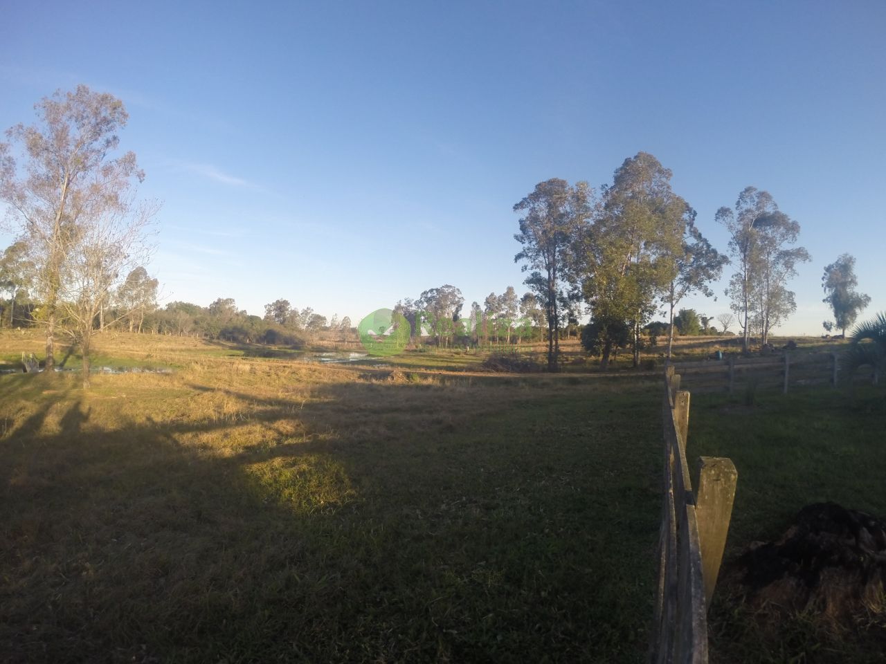 Sítio, 3 quartos, 5 hectares - Foto 4