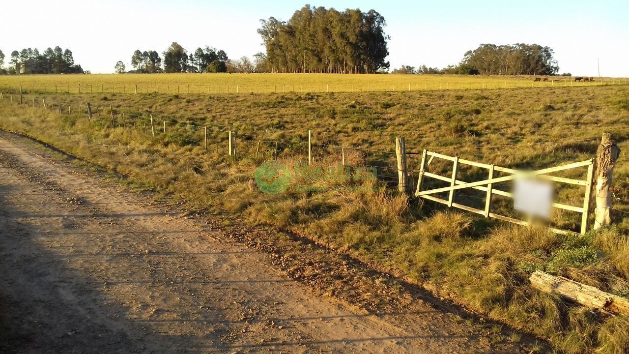 Fazenda à venda com 4 quartos, 45000m² - Foto 12