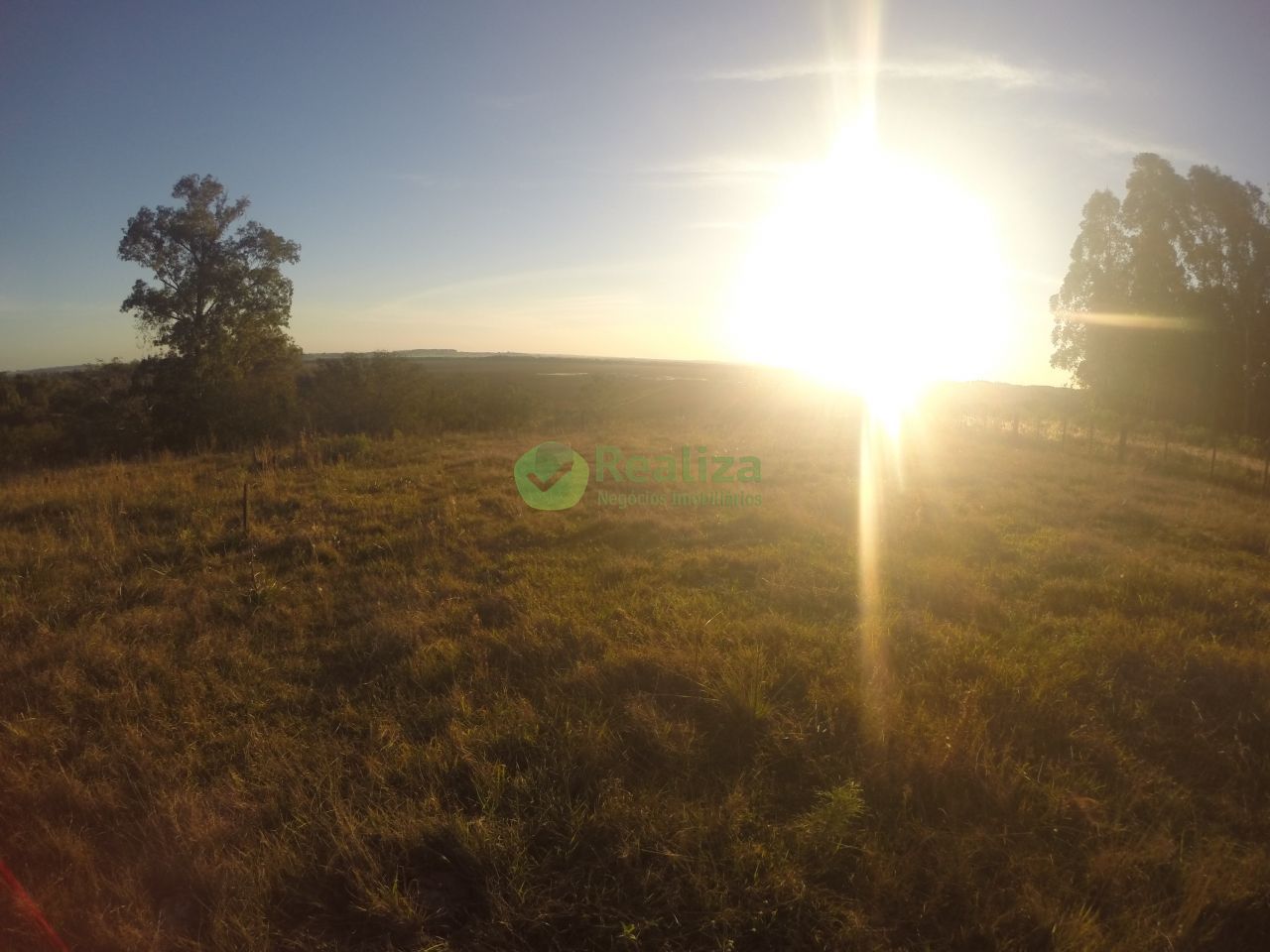 Sítio, 3 quartos, 5 hectares - Foto 40